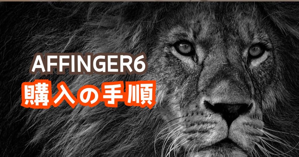 AFFINGER6購入の手順